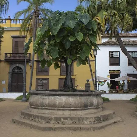 Sunset * Icod De Los Vinos