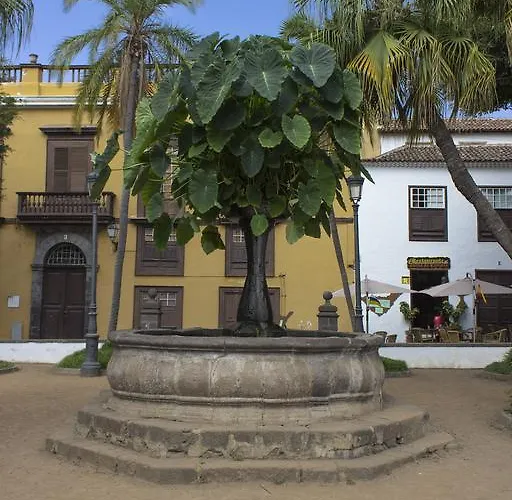 Sunset * איקוד דה לוס וינוס